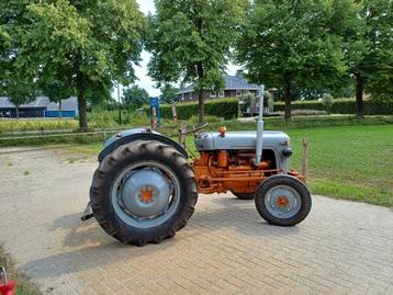 Ferguson  MF35  Goudbuik Diesel met diverse werktuigen beschikbaar voor biedingen