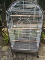 Prachtige grote nieuwe papegaaienkooi met open bovenkant, Dieren en Toebehoren, Vogels | Hokken en Kooien, Ophalen of Verzenden