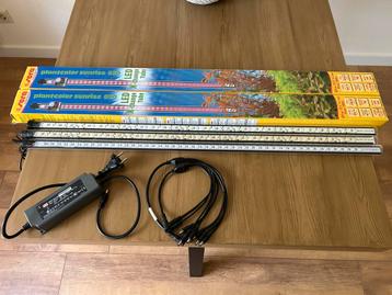 5 led buizen Sera Sunrise 820 + toebehoren beschikbaar voor biedingen