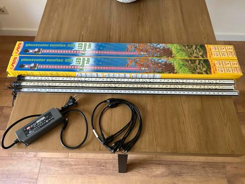 5 led buizen Sera Sunrise 820 + toebehoren, Dieren en Toebehoren, Vissen | Aquaria en Toebehoren, Nieuw, Verlichting of Verwarming