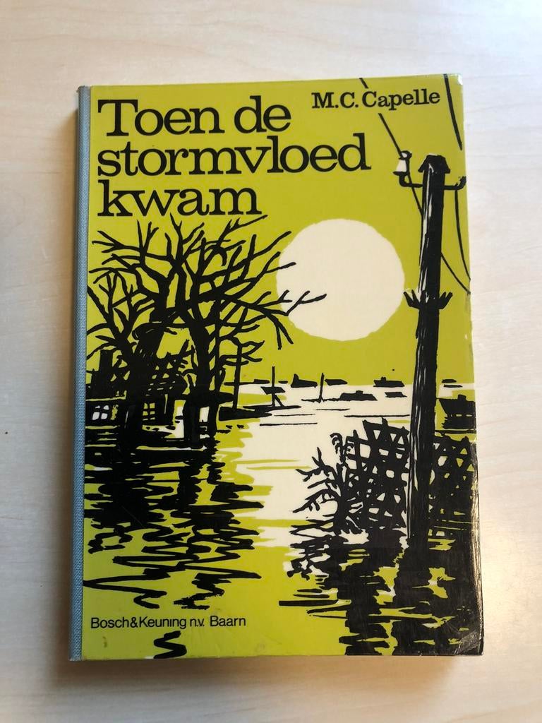 Toen de stormvloed kwam door M. C. Capelle, Ophalen of Verzenden, Gelezen
