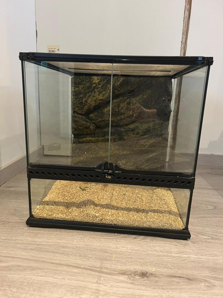 Exo Terra terrarium, Dieren en Toebehoren, Reptielen en Amfibieën | Toebehoren, Ophalen