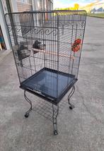 ZGAN!! VOGELKOOI/DWERGPAPEGAAIEN KOOI, Ophalen, Zo goed als nieuw, Metaal, Vogelkooi