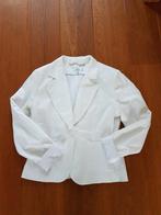 Wit jasje, Steps, maat M, Kleding | Dames, Maat 38/40 (M), Wit, Ophalen of Verzenden, Zo goed als nieuw