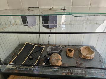 Terrarium  beschikbaar voor biedingen