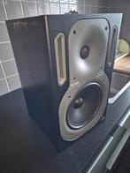 Behringer Truth B2031, 1x., Gebruikt, 120 watt of meer, Front, Rear of Stereo speakers, Ophalen