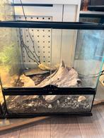 exo terra 45x45x45, Dieren en Toebehoren, Reptielen en Amfibieën | Toebehoren, Ophalen, Gebruikt, Terrarium of Paludarium