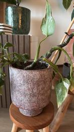 Pot op voet, Ophalen, Rond, Binnen, Zo goed als nieuw