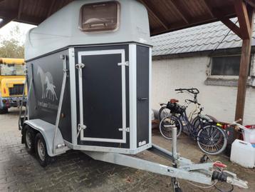 1,5 paards xxtrail Garnet beschikbaar voor biedingen