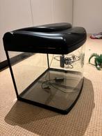 aquaruim, Dieren en Toebehoren, Ophalen, Gebruikt, Leeg aquarium