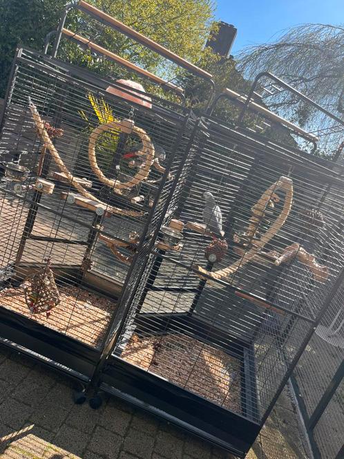 Papegaaienkooien op zoek naar nieuwe vogeltjes, Dieren en Toebehoren, Vogels | Hokken en Kooien, Zo goed als nieuw, Vogelkooi