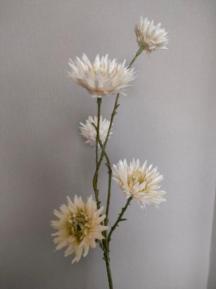 1 kunsttak in de kleur zalm/beige, Huis en Inrichting, Woonaccessoires | Kunstplanten en Kunstbloemen, Zo goed als nieuw, Ophalen of Verzenden