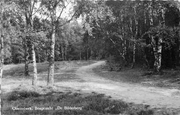 (300-270-017) Oosterbeek Bosgezicht de Bilderberg beschikbaar voor biedingen