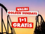 2e ticket gratis voor Walibi, Tickets en Kaartjes, Twee personen, Kortingskaart