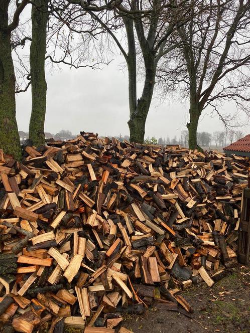 Droog elzenhout. Haardhout,, Tuin en Terras, Haardhout, Blokken, Elzenhout, 6 m³ of meer, Ophalen of Verzenden