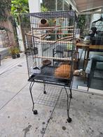 Vogelkooi kanaries parkieten dwergpapegaai de Luxe, Ophalen, Zo goed als nieuw, Metaal, Vogelkooi