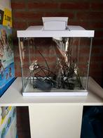 Super Fish compleet incl meubel, Dieren en Toebehoren, Ophalen