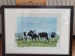 Schilderij koeien., Schilderij, 50 tot 75 cm, Ophalen