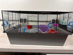 Hamsterkooi met diverse atributen - Zo goed als nieuw, Kooi, Minder dan 75 cm, Zo goed als nieuw, Ophalen