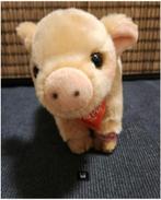 Pia Pia Piggy Pluche, Ophalen of Verzenden, Nieuw, Overige typen