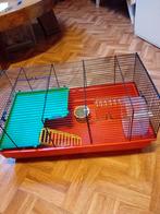 Leuke Hamster Kooi, Dieren en Toebehoren, Kooi, Minder dan 75 cm, Zo goed als nieuw, Muis