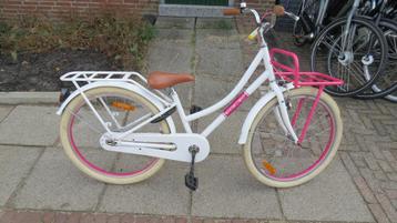 Volare Excellent beschikbaar voor biedingen