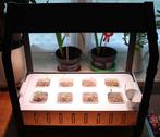 Krydda kweekkas klein + Vaxer kweekbak 8 stuks, Ophalen, Zo goed als nieuw, Kweekbak