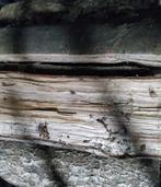 zakken droog haardhout | per zak 15kg / € 8,50  vnl. eik, Minder dan 3 m³, Ophalen, Eikenhout, Blokken