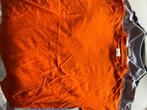 T shirt oranje 152,164, Ophalen of Verzenden, Nieuw, Overige maten, Oranje
