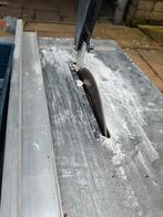 Tegelzaagmachine, Ophalen, Gebruikt, Cirkelzaag, 600 tot 1200 watt