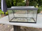 Aquarium Tetra 60 cm met led lamp, Dieren en Toebehoren, Ophalen, Gebruikt, Leeg aquarium