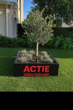 Plantenbakken van Staal, Info@plantenbakkenvanstaal.nl, Plantenbakken van Staal, Minder dan 60 cm, Nieuw