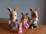 Sylvanian families vintage kangoeroe familie compleet, Ophalen of Verzenden, Gebruikt