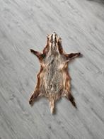 Dassenhuid - Decoratief item, Gebruikt, 50 tot 100 cm, Rustiek, Bruin