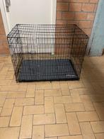 Zwarte Bench hond middel tot groot, Ophalen of Verzenden, Zo goed als nieuw