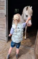 Super knappe, drachtige Welsh ster merrie!, Merrie, B pony (1.17m tot 1.27m), Gechipt, 11 jaar of ouder