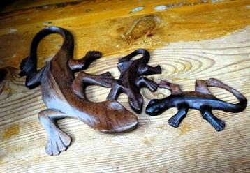 3 Hout geneden gekko's / salamanders beschikbaar voor biedingen