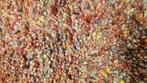Vloerkleed Brinker Salsa Coral Red, Ophalen, Brinker vloerkleden, 200 cm of meer, Overige vormen
