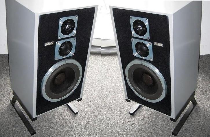 magnat verstelbare luidspreker steunen voor de allribbons, Audio, Tv en Foto, Luidsprekers, Gebruikt, Overige typen, Minder dan 60 watt