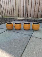 Kleurrijke oker gele bloempotten, Ophalen, Minder dan 30 cm, Minder dan 60 cm, Rond