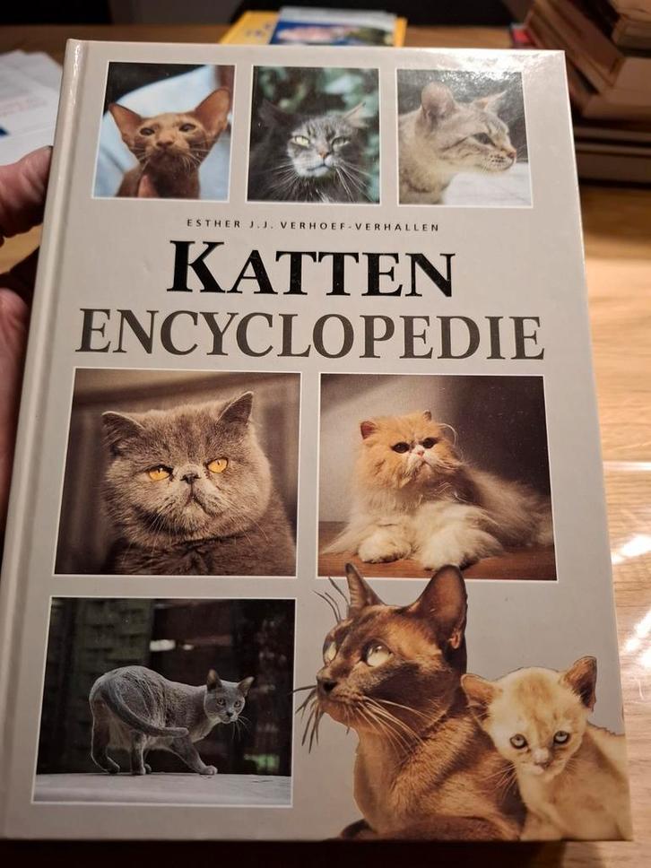 Katten Encyclopedie - Esther J.J. Verhoef-Verhallen, Boeken, Dieren en Huisdieren, Zo goed als nieuw, Katten, Ophalen of Verzenden