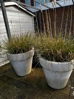 Elho bloempotten incl pampusgras., Ophalen, Kunststof, 40 cm of meer, Rond