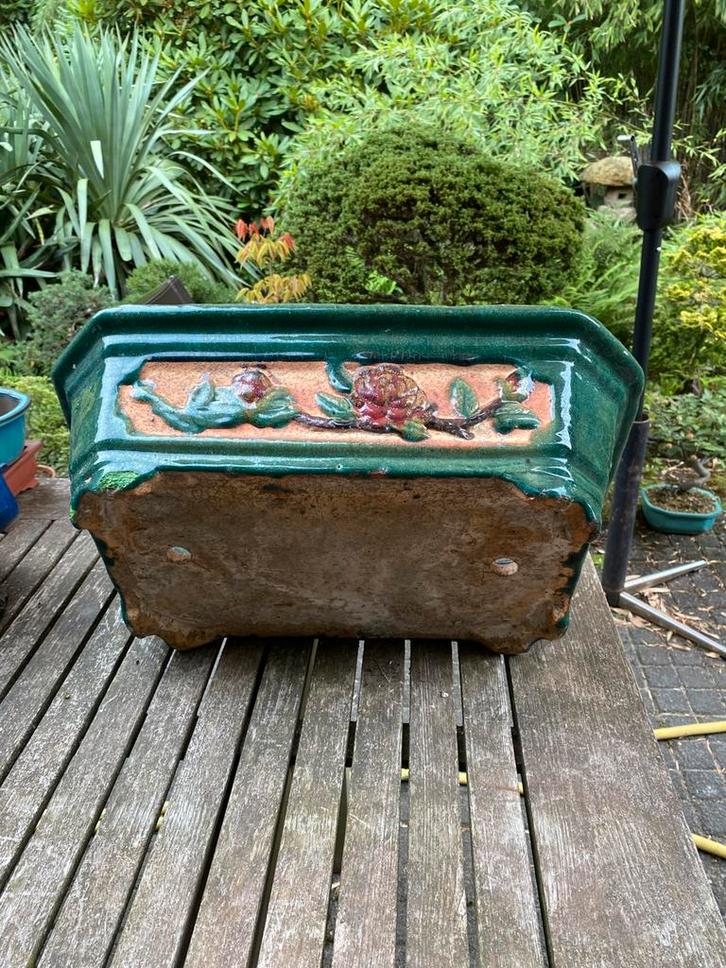 Bonsai grote Chinese pot antiek ?, Hobby en Vrije tijd, Overige Hobby en Vrije tijd, Gebruikt, Ophalen of Verzenden
