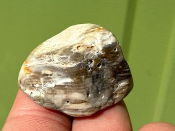 Larsoniet broekzaksteen mineralen beschikbaar voor biedingen