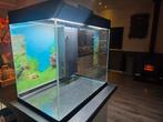 Ciano Aquarium, nog geen jaar oud!, Dieren en Toebehoren, Ophalen, Zo goed als nieuw, Leeg aquarium