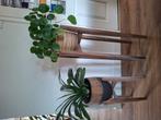 Planten standaards hout, Huis en Inrichting, Ophalen, Zo goed als nieuw