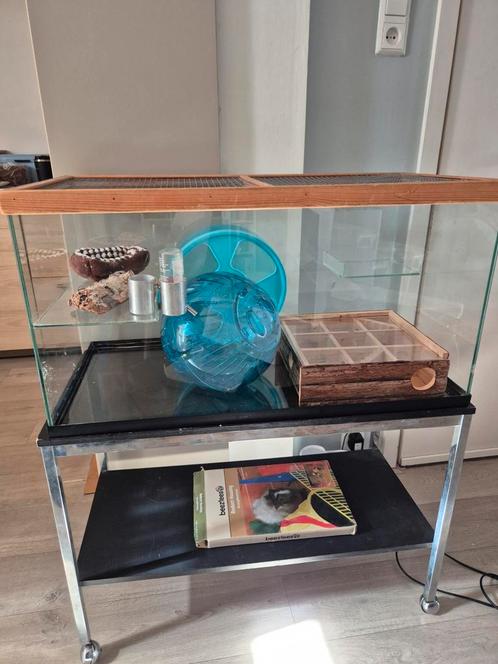 Hamster kooi / terrarium inclusief toebehoren, Dieren en Toebehoren, Knaagdieren en Konijnen | Hokken en Kooien, Gebruikt, Kooi