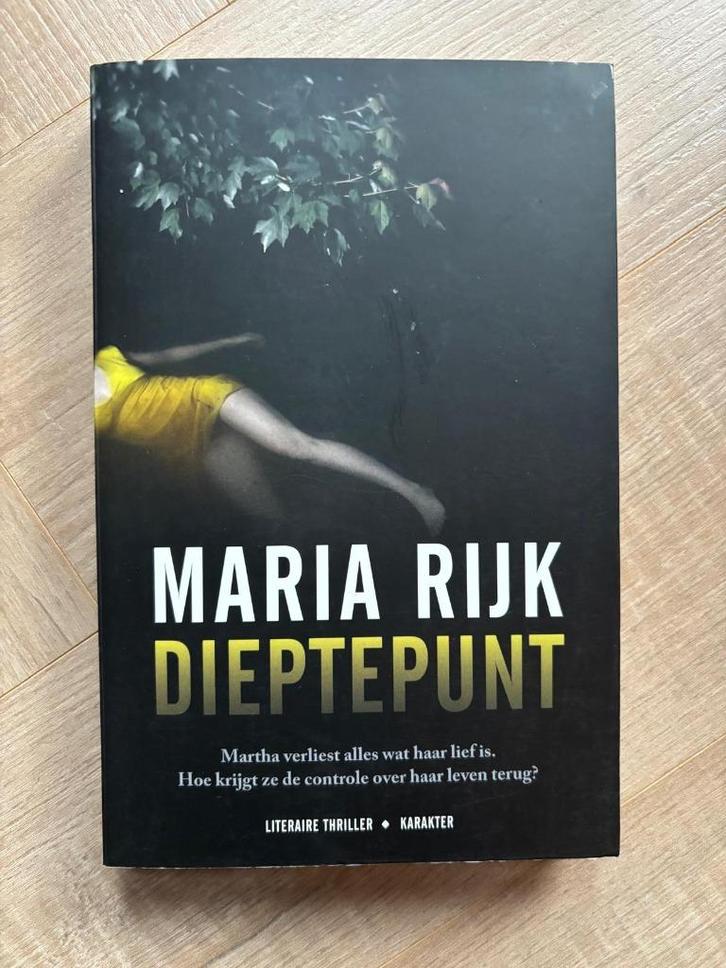 Maria Rijk - Dieptepunt, Boeken, Thrillers, Zo goed als nieuw, Nederland, Ophalen of Verzenden