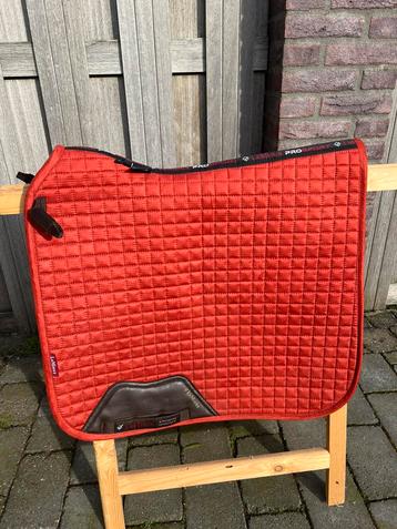 Lemieux Sienna dressuur full beschikbaar voor biedingen