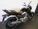 Suzuki GW 250 INAZUMA PERFECT A2 MOTOR! (bj 2014), Bedrijf, Naked bike